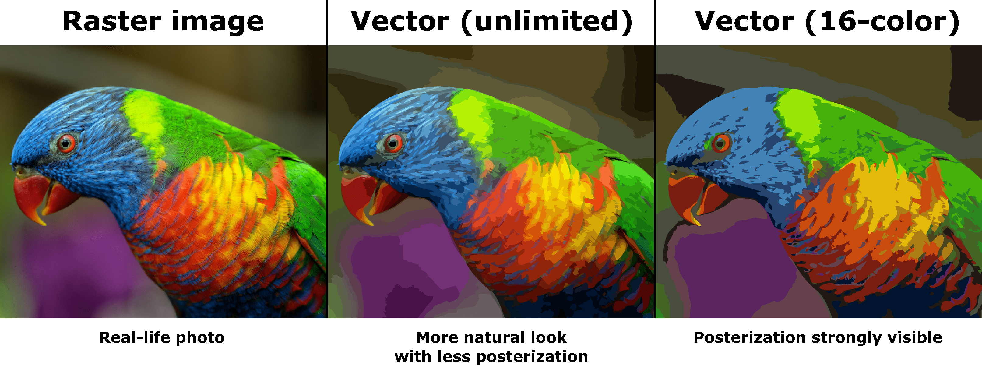 Unlimited vs custom vector for real life photo to AI SVG EPD PDF